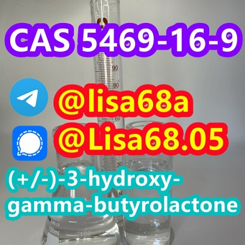 CAS 5469-16-9 (+/-)-3-hydroxy-gamma-butyrolactone C4H6O3