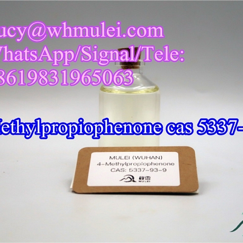 Manufacturer High Quality 4-Methylpropiophenone CAS 5337-93-9 Free of Custom Clearance