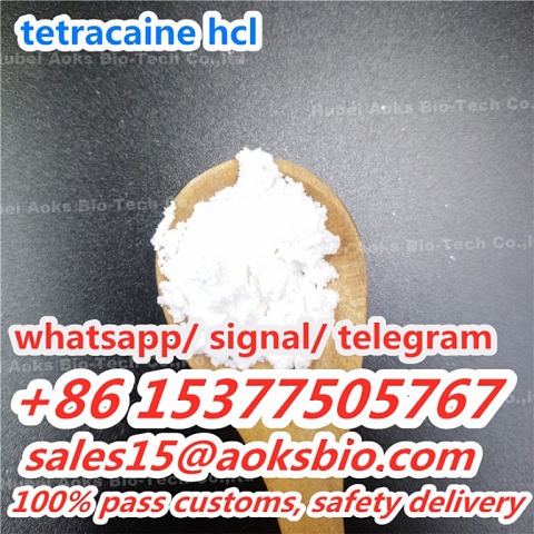 Tetracaine HCL powder