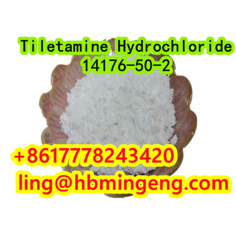 CAS 14176-50-2 Tiletamine Hydrochloride Hot Selling Good Quality Made in China