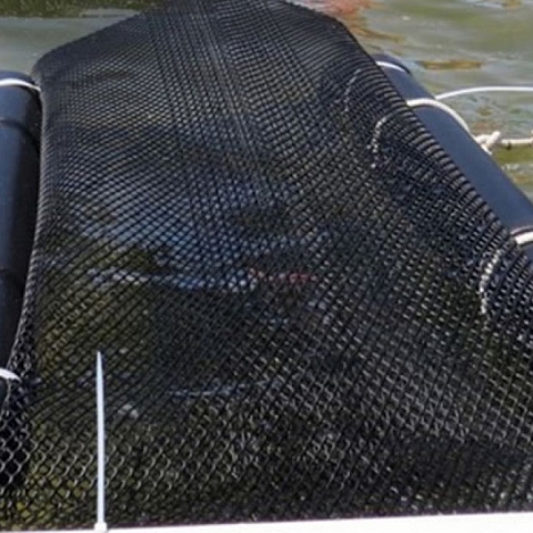 Aquaculture Netting