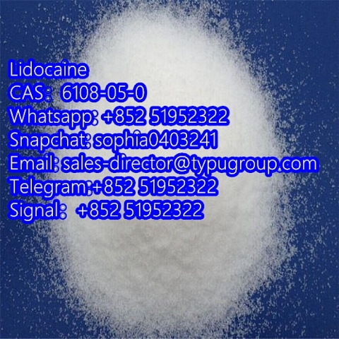 Lidocaine CAS6108-05-0