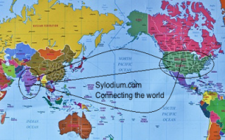 India - US  (Sylodium, import export business)