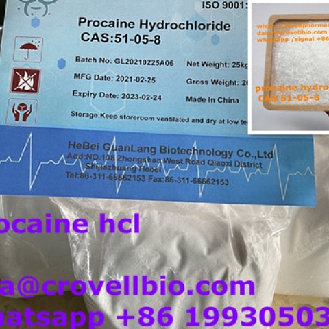 procaine supplier in China ( whatsapp +86 19930503252