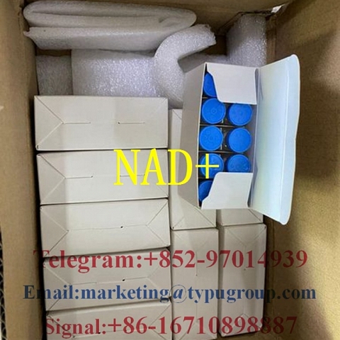 Factory price NAD+  CAS:53-84-9 Nicotinamide Adenine Dinucleotide