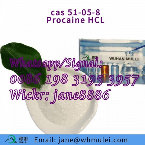 Procaine HCL