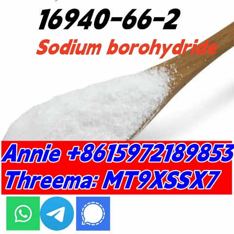 CAS 16940-66-2 Sodium borohydride SBH good quality, factory price and safety shipping