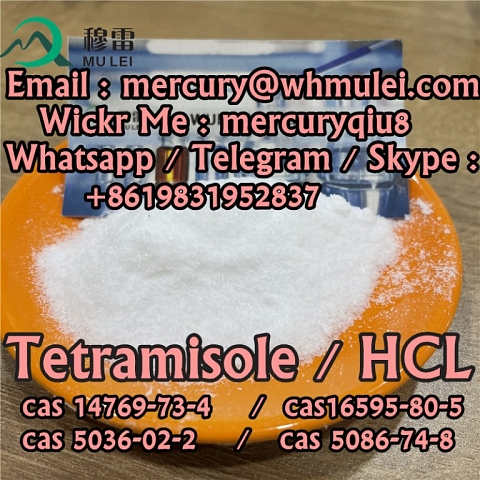 Safe delivery low price tetramisole base tetramisole 