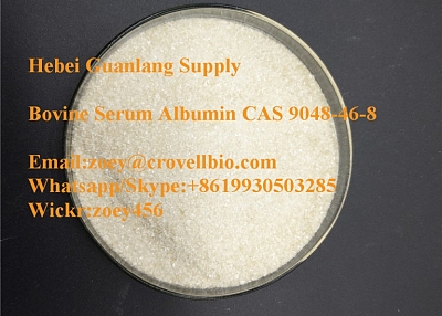  Bovine Serum Albumin supplier  / Bovine albumin powder CAS 9048-46-8