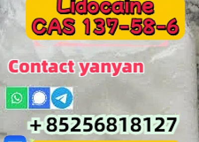 Venta de Lidocaína CAS 137 - 58 - 6 proveedores chinos