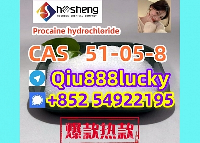  51-05-8  Procaine hydrochloride 