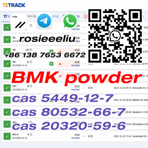 sell CAS 5449-12-7 WhatsApp: +8613876536672 BMK Glycidic Acid (sodium salt) hot sell big stock wick: