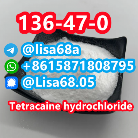 CAS 136-47-0 Tetracaine hydrochloride C15H25ClN2O2