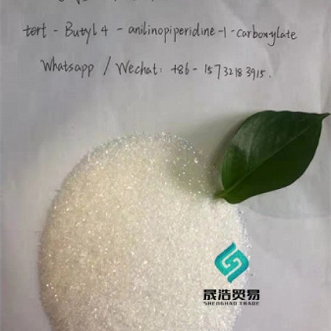 The Best Price of 1-Boc-4- (Phenylamino) Piperidine CAS No 125541-22-2 99% White powder 125541-22-2 