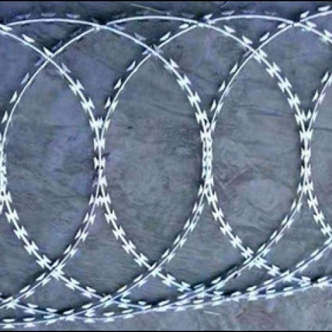 Concertina Wire (Coils)