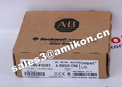 Allen Bradley Rockwell 1746-A10 