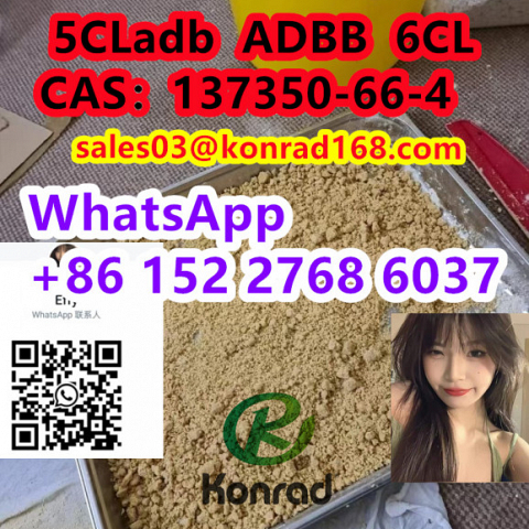  5CLadbCAS：137350-66-4 