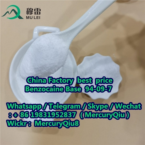 China wholesale price Benzocaine for Painkiller Powder  CAS No. 94-09-7 99% Purity Raw Material Powd