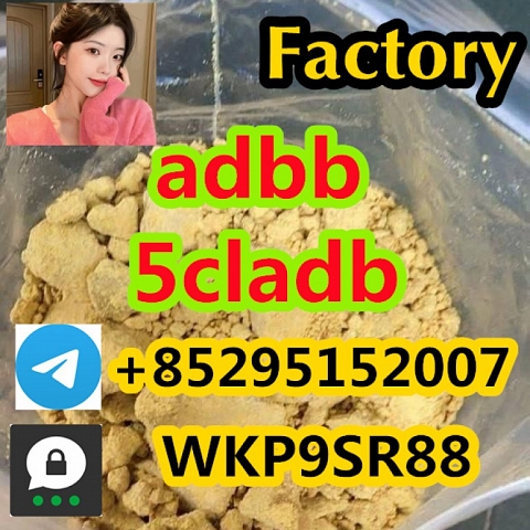 5CL-ADB 5cladb 5cladba synthetic cannabinoids reliable supplier