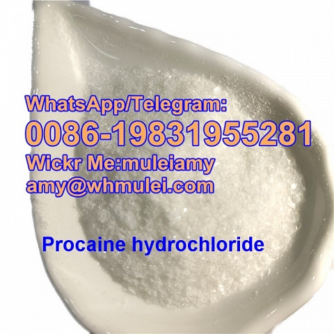 Procaine,procaine hcl Procaine Hydrochloride