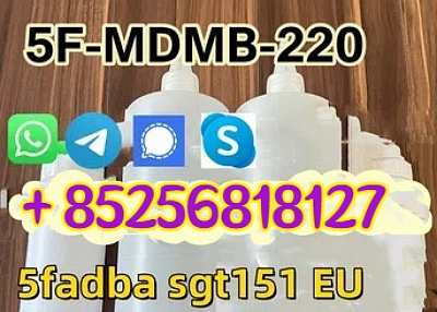 Venta de DZD 5, 5CL-ADB 5cladbb 5cl Mdma 4cladb 4fadba 6cl 2cl Proveedor chino