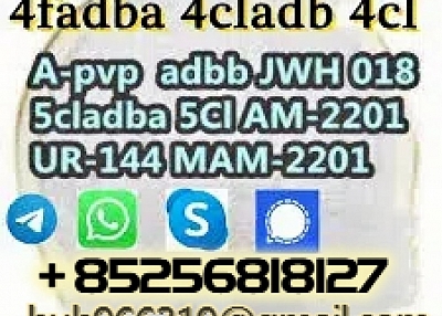 Sell 5cl-adba 5CL-ADBB 5cladbb 6cladb 6cladba 6cadbb 5cl 6CL China supplier