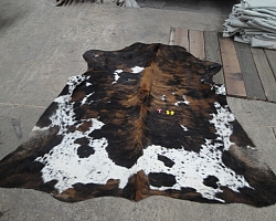 cowhides