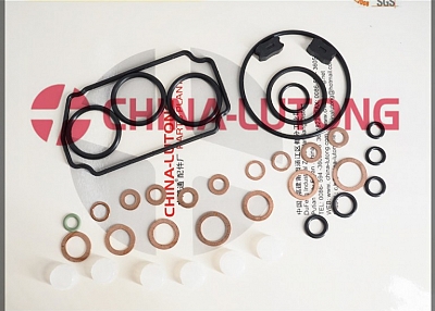 Repair Kits Z 146600-1120 B 9 461 610 423 Fl 800600 for Ve Pump Parts Replace for Zexel Pump