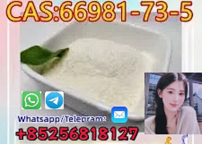 以最优惠的价格销售高品质 CAS66981-73-5 天普汀 中国供应商