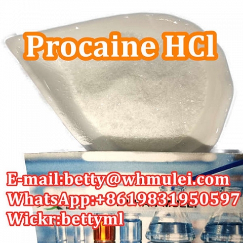 Cas:51-05-8 factory procaine hydrochloride procaine hcl powder favorable price safe delivery