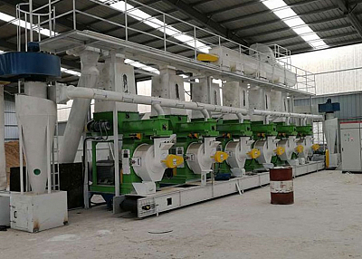 Customized Fuel Pellet Production Line