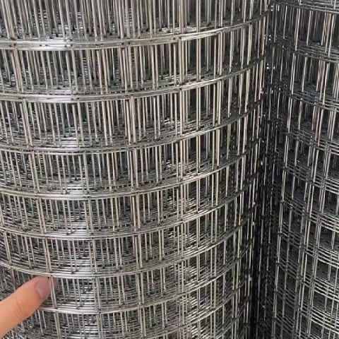 Welded Wire Mesh