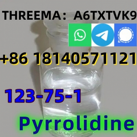 good quality Pyrrolidine CAS 123-75-1 factory supply with low price and fast shipping