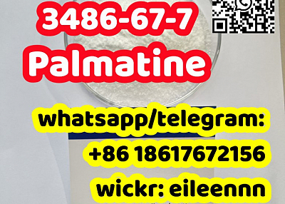 3486-67-7 Palmatine