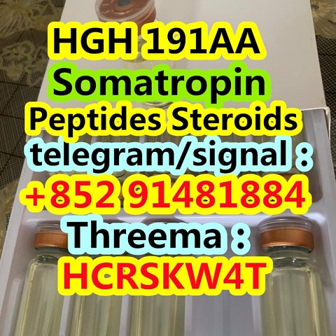 HGH 191AA Somatropin cas 126-01-5