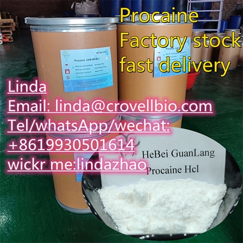 High quality procaine /  CAS No.: 59-46-1 /  buy procaine China supplies / +86 19930501614