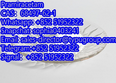 Pramiracetam CAS68497-62-1