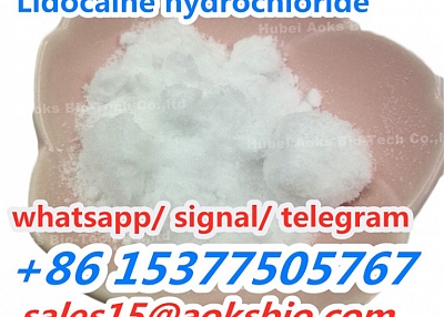 lidocaine hydrochloride/lidocaine hcl powder CAS 73-78-9 lidocaine supplier door to door delivery