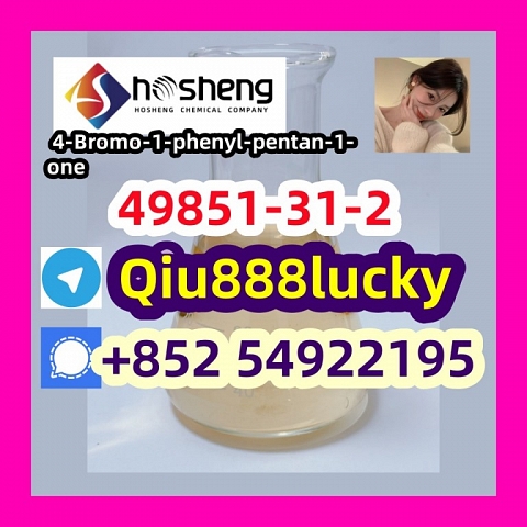 49851-31-2 4-Bromo-1-phenyl-pentan-1-one