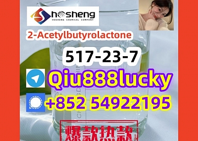 517-23-7  2-Acetylbutyrolactone 