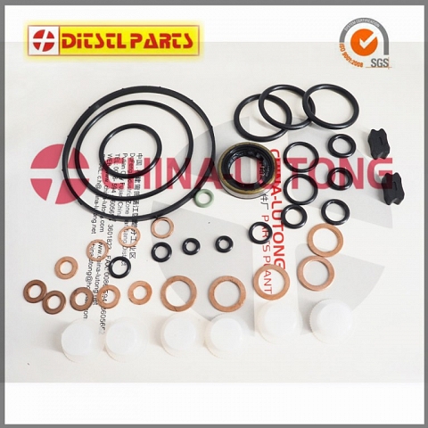 cav injector pump rebuild kit  