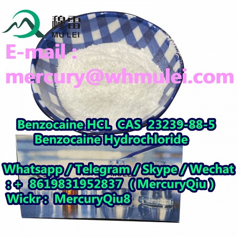 Local Anesthetic Benzocaine HCL White Crystalline Powder cas 23239-88-5