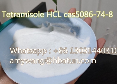 Tetramisole HCL cas5086-74-8