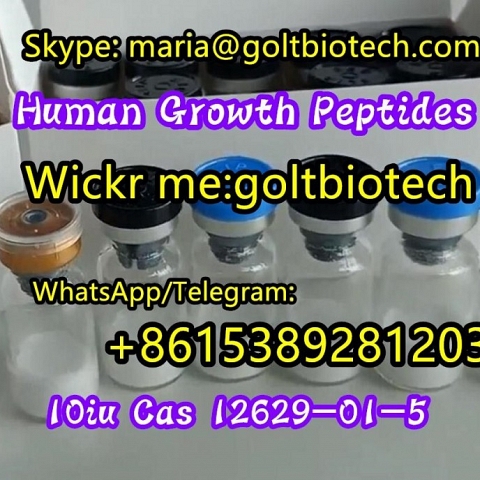 HGH Human Growth Hormone China supplier 100% safe delivery Wickr:goltbiotech