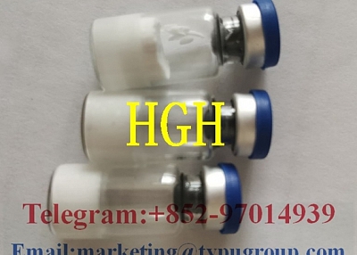 Hot sale Human Growth Hormone HGH CAS:12629-01-5 Telegram/Whatsapp:+852-97014939