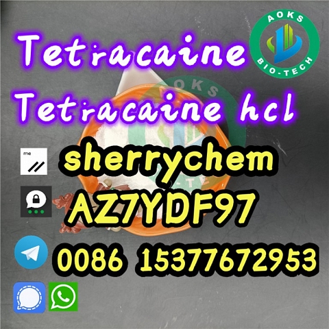 Factory Supply Top Quality Tetracaine Powder 94-24-6 Tetracaine Base Tetracaine 