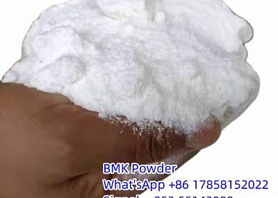 BMK Powder CAS 5449-12-7 Safe Delivery