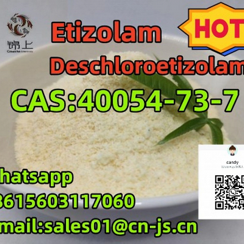 hot selling 40054-73-7 Deschloroetizolam