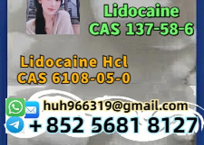 Sell 100% Arrive Safe Customs lidocaine CAS 137-58-6