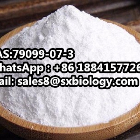 High Quality China Factory Supply Powder 2c10h17no3 CAS 79099-07-3